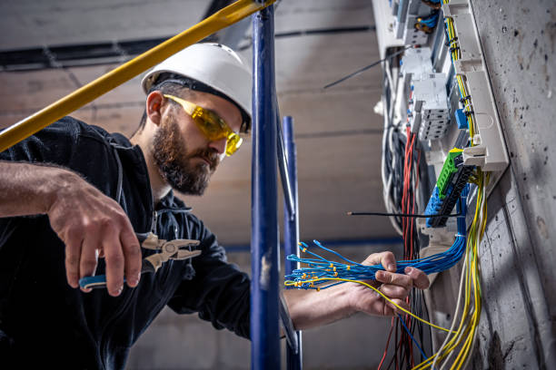 Best Ceiling Fan Installation Electrician  in Lucedale, MS